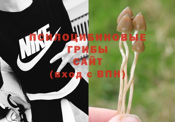 мяу мяу мука Верхнеуральск